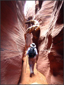 Slot Canyon